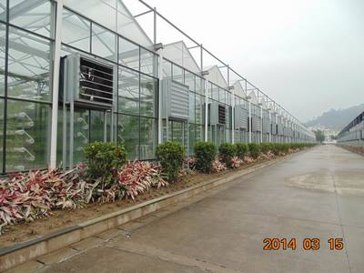 福州福建水稻工廠化機插育秧溫室:想建福建水稻工廠化機插育秧溫室就到黑土農(nóng)科,廈門市黑土農(nóng)業(yè)科技產(chǎn)品展示-中華嬰童網(wǎng),中國孕嬰童行業(yè)電子商務(wù)首選平臺