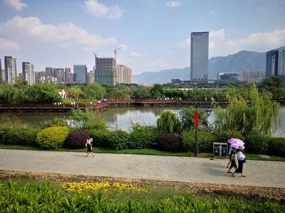 福州國(guó)慶節(jié)最火的一座公園,向日葵花海美翻了!